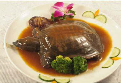吃甲魚過敏怎么辦