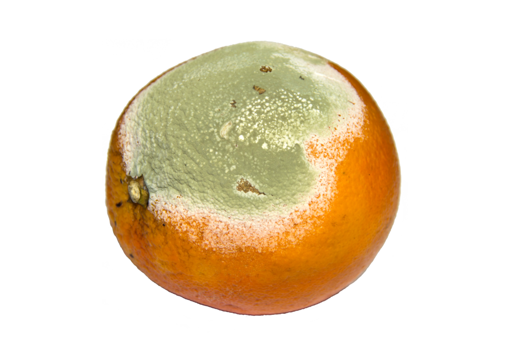 5Nʳ100%¸ΰ