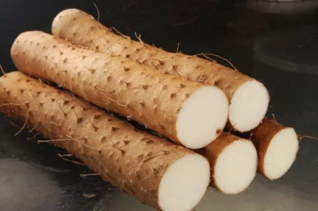 脾胃不好吃什么
