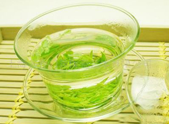 苦丁茶的功效與作用 這五類人要忌喝苦丁茶